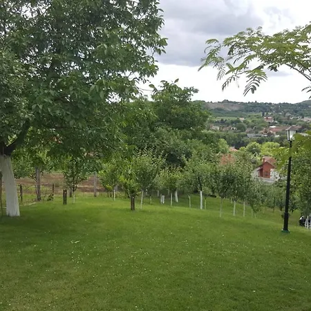Miris Dunja * Vrdnik