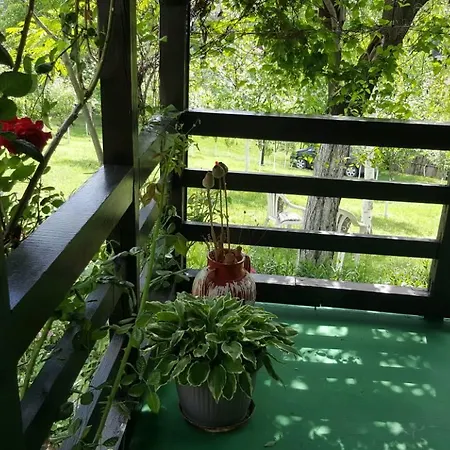 Kır Evi Miris Dunja